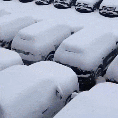 Zaštitna cerada za šoferšajbnu