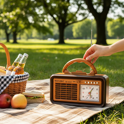 Ruka izvlači antenu retro radija na pikniku u parku